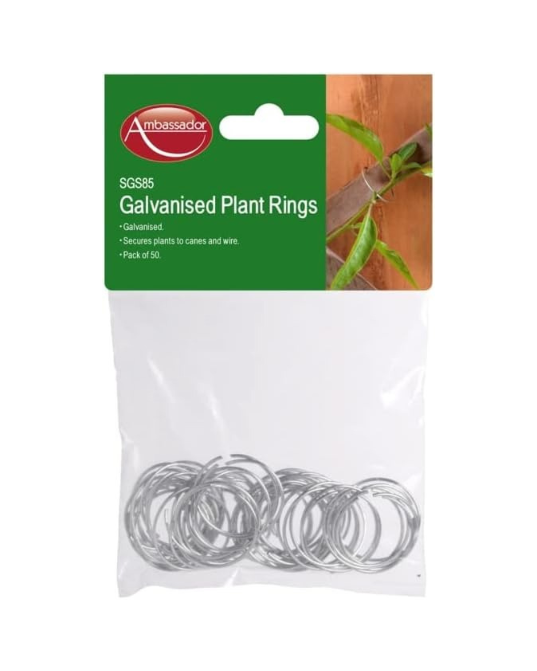 Ambassador Galvanised Plant Rings (Pack of 50)