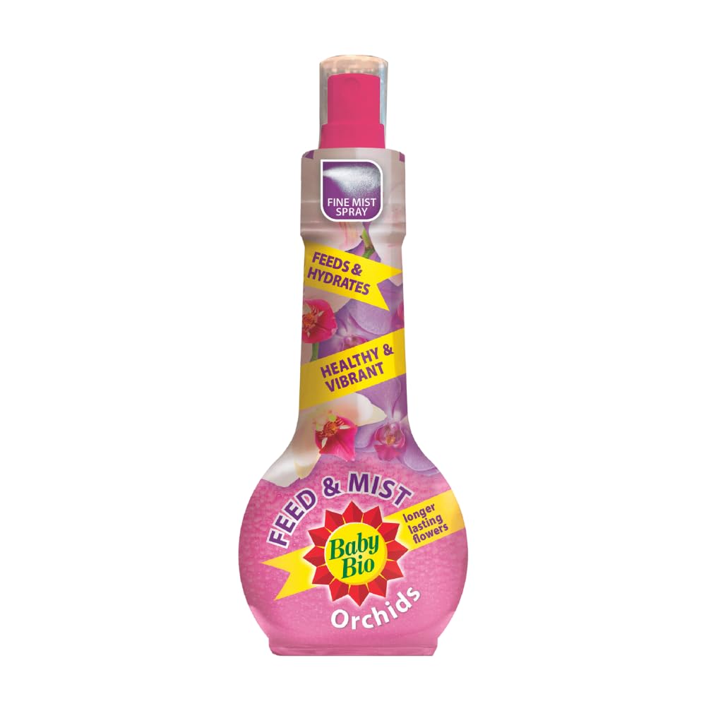 Baby Bio Cactus Food, 175ml - Liquid Concentrate Fertiliser - Specially formulated for Cacti - Healthy Growth and Vibrant Flowering - Strengthens Plant Spines for Added Resilience - Makes up to 70L