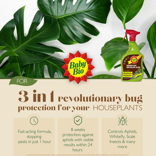 Baby Bio Houseplant Bug Killer Ultra - Fast-Acting Bug Killer Spray - Effective Insect Control for Houseplants - Protection for Houseplants, 1 Litre