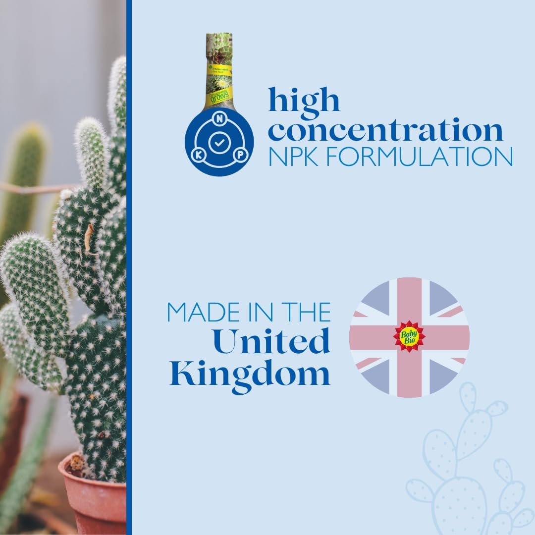 Baby Bio Cactus Food, 175ml - Liquid Concentrate Fertiliser - Specially formulated for Cacti - Healthy Growth and Vibrant Flowering - Strengthens Plant Spines for Added Resilience - Makes up to 70L