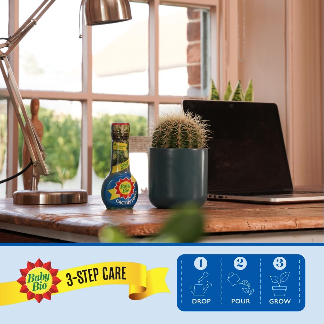 Baby Bio Cactus Food, 175ml - Liquid Concentrate Fertiliser - Specially formulated for Cacti - Healthy Growth and Vibrant Flowering - Strengthens Plant Spines for Added Resilience - Makes up to 70L