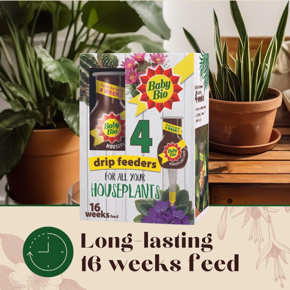 Baby Bio Houseplant Drip Feeders, 4 x 40ml - Ready To Use House Plant Food - Easy Care Fertiliser for Supporting Healthy Growth and Vibrant Blooms - Automatic Plant Feeder