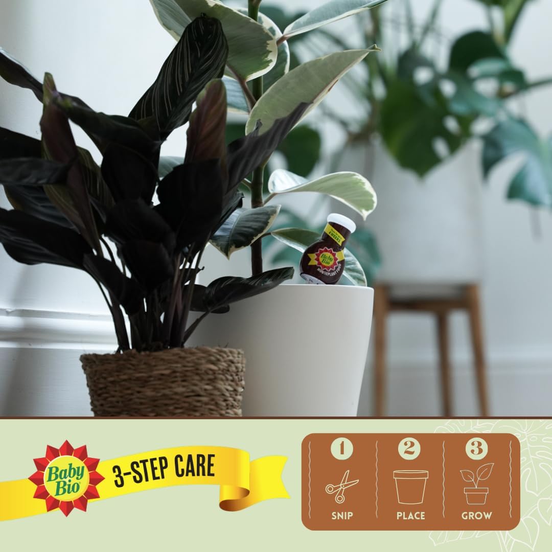 Baby Bio Houseplant Drip Feeders, 4 x 40ml - Ready To Use House Plant Food - Easy Care Fertiliser for Supporting Healthy Growth and Vibrant Blooms - Automatic Plant Feeder