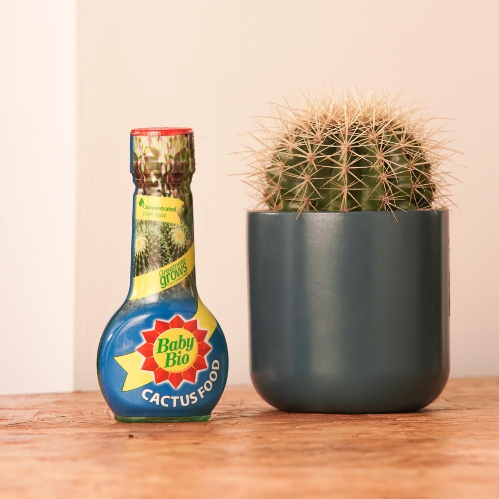 Baby Bio Cactus Food, 175ml - Liquid Concentrate Fertiliser - Specially formulated for Cacti - Healthy Growth and Vibrant Flowering - Strengthens Plant Spines for Added Resilience - Makes up to 70L