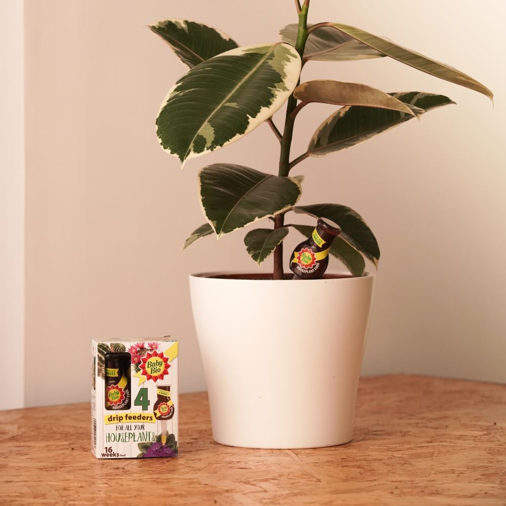 Baby Bio Houseplant Drip Feeders, 4 x 40ml - Ready To Use House Plant Food - Easy Care Fertiliser for Supporting Healthy Growth and Vibrant Blooms - Automatic Plant Feeder