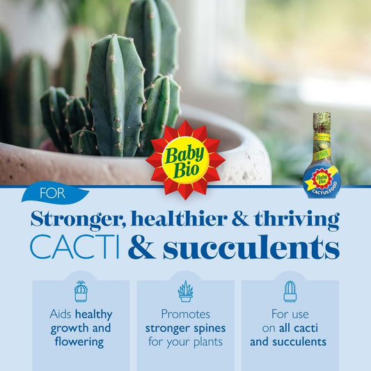 Baby Bio Cactus Food, 175ml - Liquid Concentrate Fertiliser - Specially formulated for Cacti - Healthy Growth and Vibrant Flowering - Strengthens Plant Spines for Added Resilience - Makes up to 70L