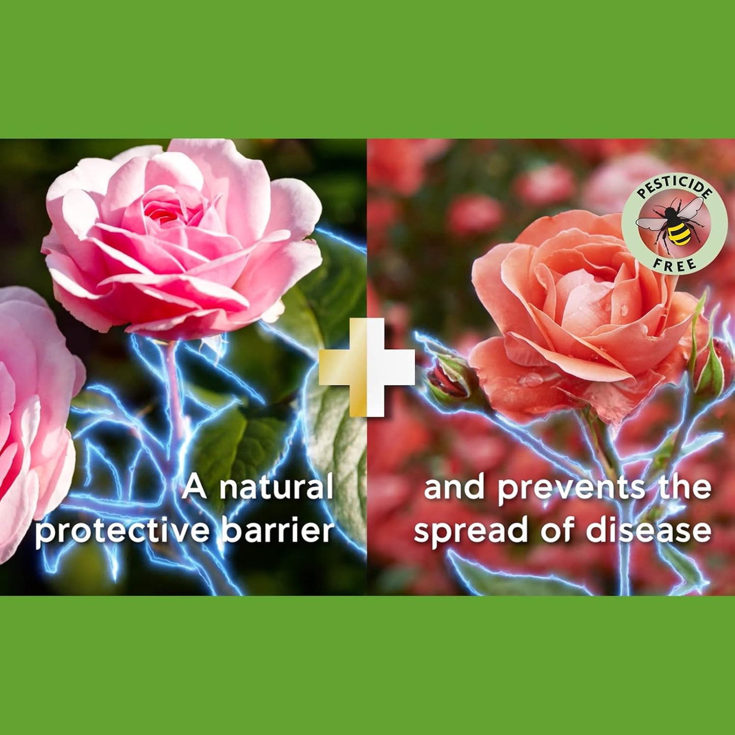 Miracle-Gro 2 in 1 Nourish and Protect Rose, Shrub, and Ornamental Ready to Use Plant Food, Eco-Refill