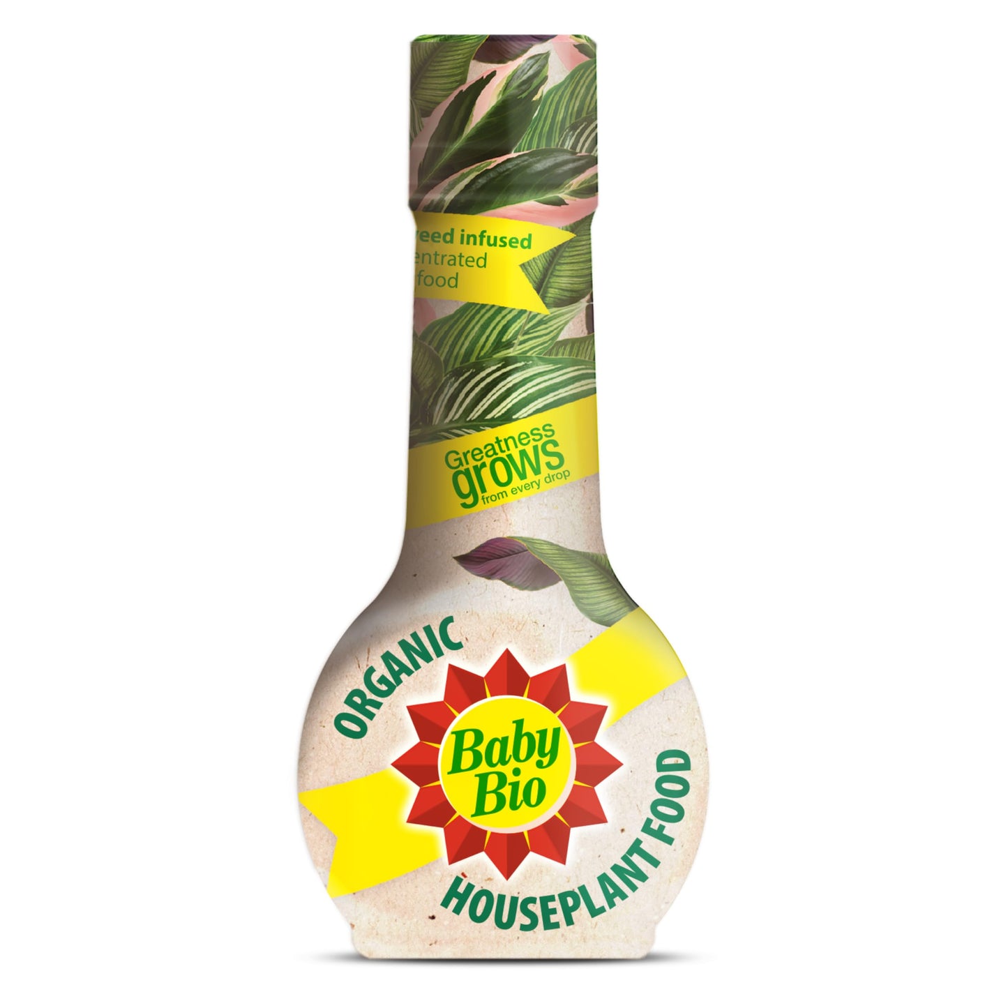 Baby Bio Cactus Food, 175ml - Liquid Concentrate Fertiliser - Specially formulated for Cacti - Healthy Growth and Vibrant Flowering - Strengthens Plant Spines for Added Resilience - Makes up to 70L