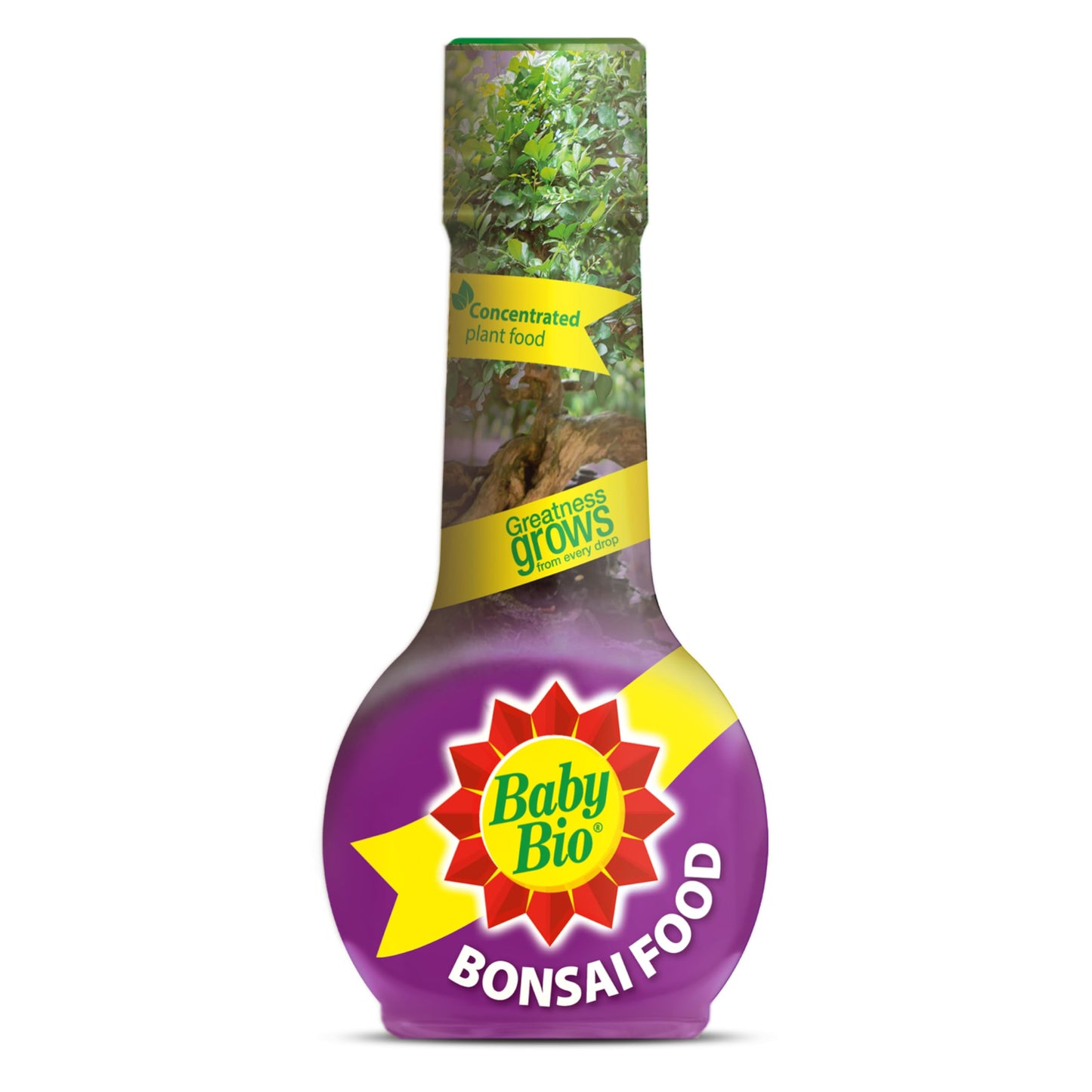 Baby Bio Cactus Food, 175ml - Liquid Concentrate Fertiliser - Specially formulated for Cacti - Healthy Growth and Vibrant Flowering - Strengthens Plant Spines for Added Resilience - Makes up to 70L