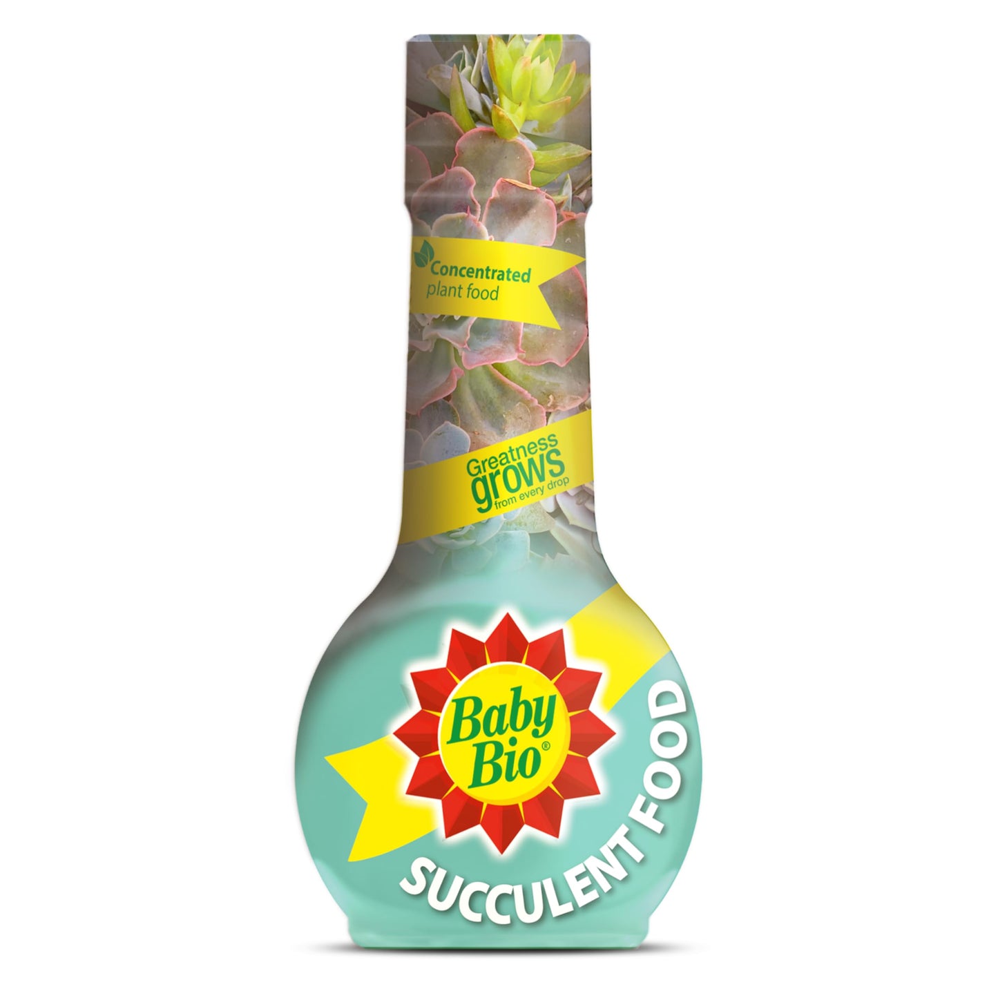 Baby Bio Cactus Food, 175ml - Liquid Concentrate Fertiliser - Specially formulated for Cacti - Healthy Growth and Vibrant Flowering - Strengthens Plant Spines for Added Resilience - Makes up to 70L