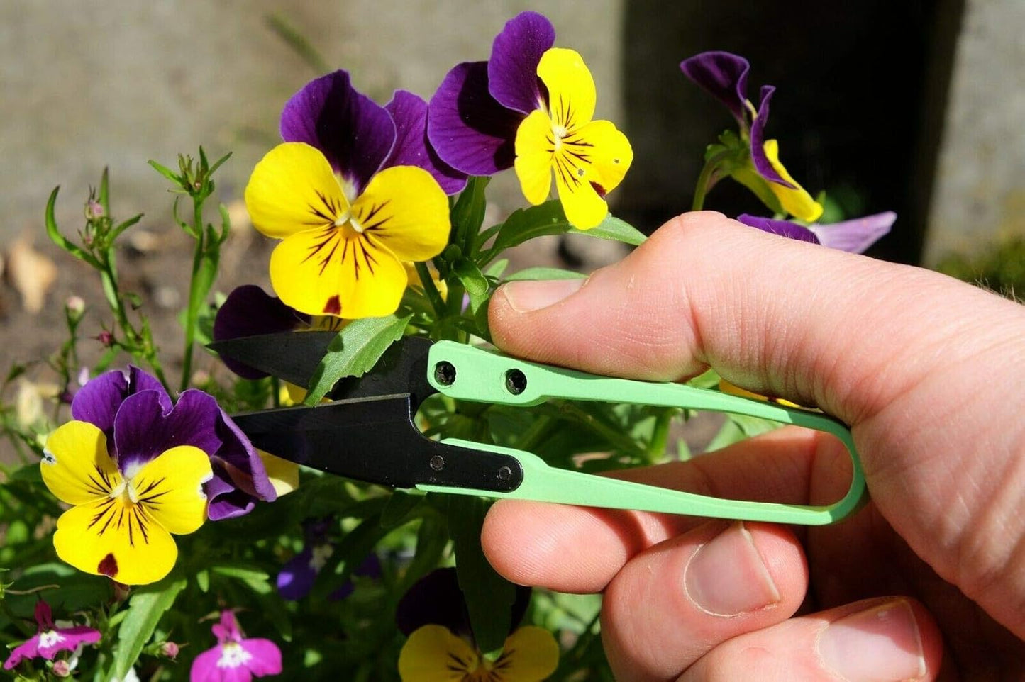 New Deadheads Green Deadheading Garden Mini Handy Snips Snippers