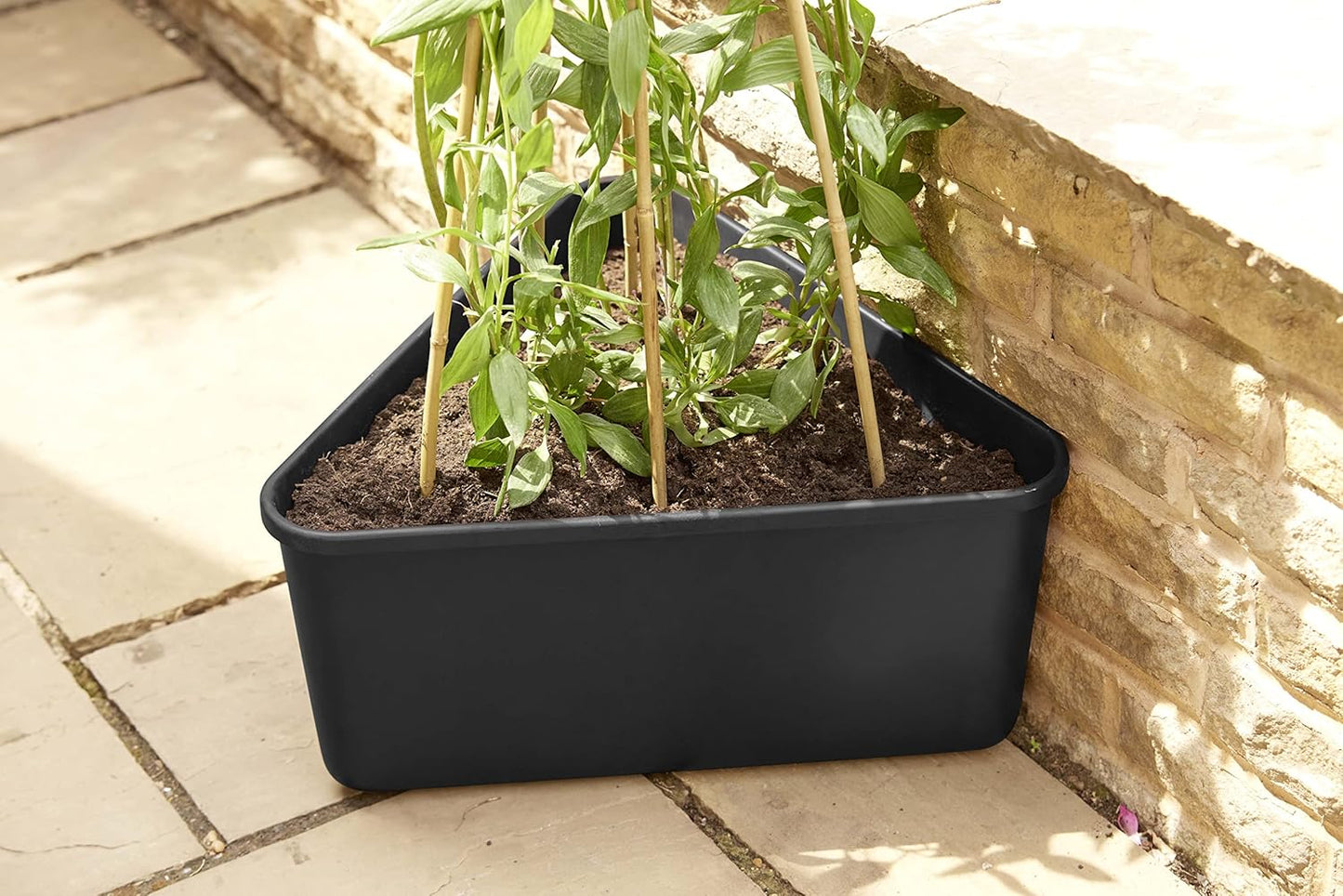 Clever Pots Triangular Cane Planter, Vegetable Planter for Outdoor use, Lightweight and Weather Resistant Tomato Planter & Garden Veg Planters, Ideal for Garden, Decking and Patios, Charcoal (461482)
