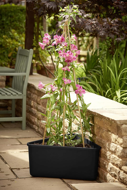 Clever Pots Triangular Cane Planter, Vegetable Planter for Outdoor use, Lightweight and Weather Resistant Tomato Planter & Garden Veg Planters, Ideal for Garden, Decking and Patios, Charcoal (461482)