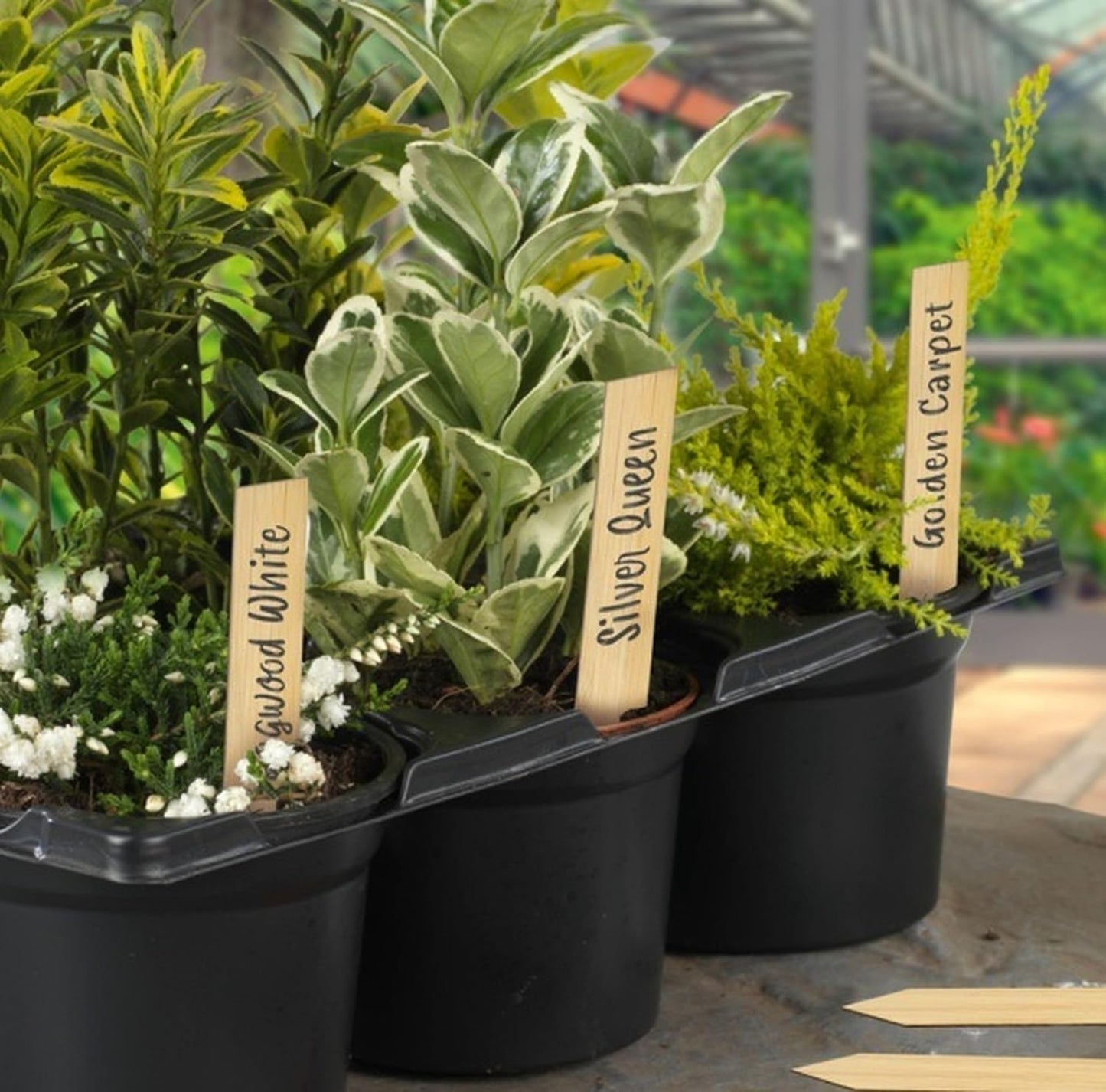 SupaGarden Garden Plant Label waterproof marker pen (Black ink)
