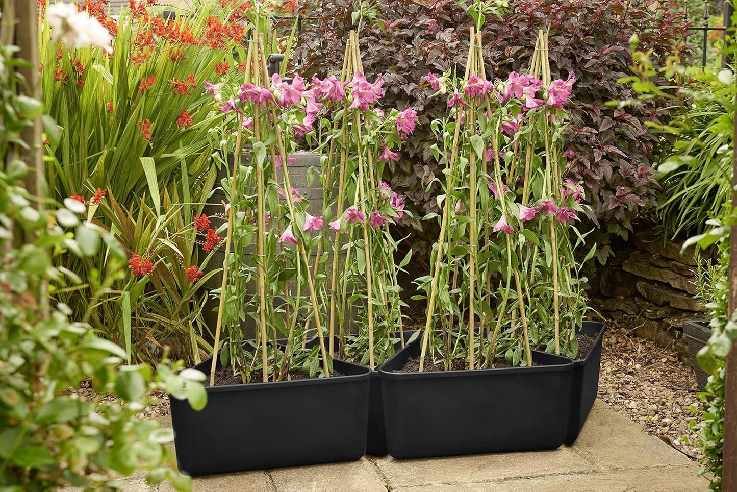 Clever Pots Triangular Cane Planter, Vegetable Planter for Outdoor use, Lightweight and Weather Resistant Tomato Planter & Garden Veg Planters, Ideal for Garden, Decking and Patios, Charcoal (461482)