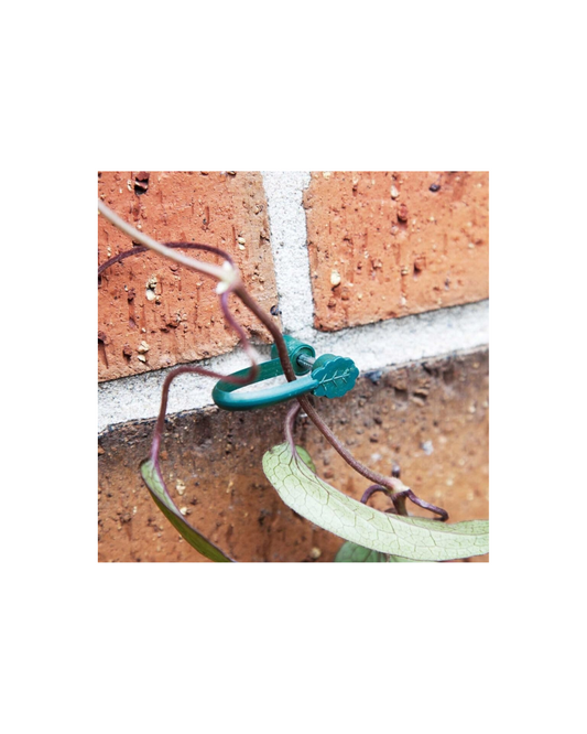 Ambassador Stem Support Clips Plant Ties Flower Support - Pack 25