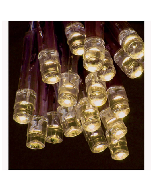 Premier 20 Warm White Battery Op LED Lights Christmas Lights LV071941WW