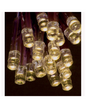 Premier 20 Warm White Battery Op LED Lights Christmas Lights LV071941WW