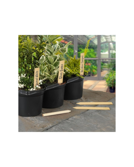 Ambassador Bamboo Plant Labels & Pencil 10 Piece - 4"