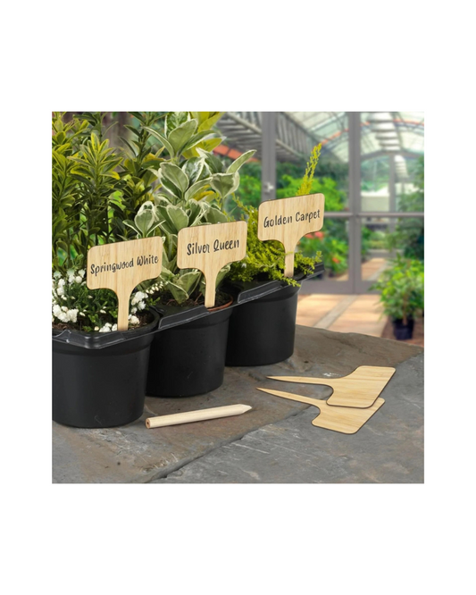 Pack of 10 T Type Wooden Plant Labels with Pencil 4 Inch Garden Plant Pot Markers for Herbs Shrubs Vegetables & Flowers 10cm