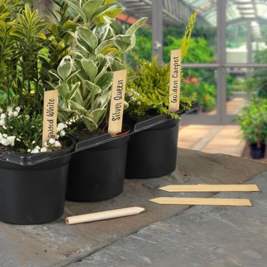 Ambassador Bamboo Plant Labels & Pencil 10 Piece - 4"