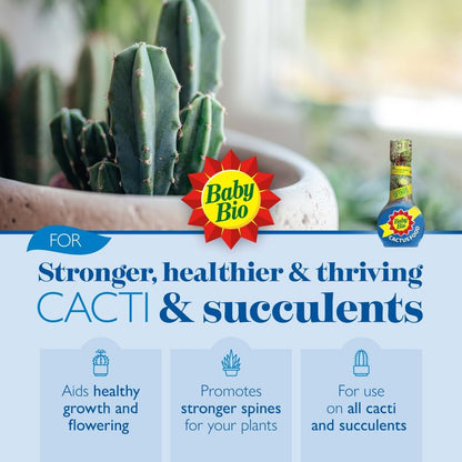 Baby Bio Cactus Food, 175ml - Liquid Concentrate Fertiliser - Specially formulated for Cacti - Healthy Growth and Vibrant Flowering - Strengthens Plant Spines for Added Resilience - Makes up to 70L
