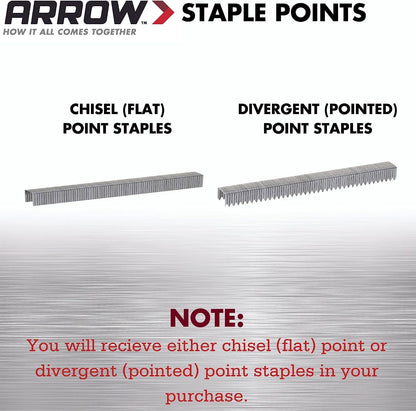 Arrow A506IP T50 Staples, Steel, 3/8 Inch (10 mm)