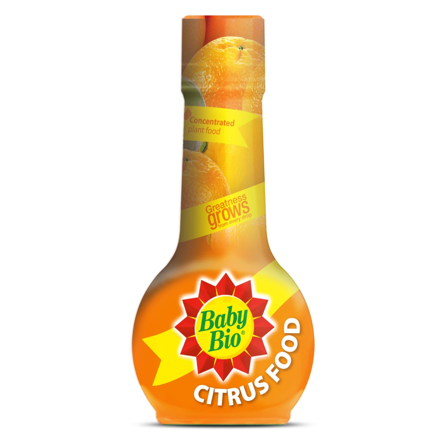 Baby Bio Cactus Food, 175ml - Liquid Concentrate Fertiliser - Specially formulated for Cacti - Healthy Growth and Vibrant Flowering - Strengthens Plant Spines for Added Resilience - Makes up to 70L